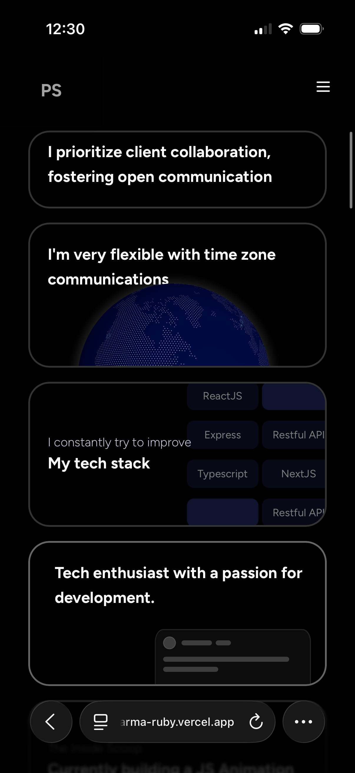 Portfolio Mobile View 2